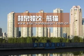 熊猫