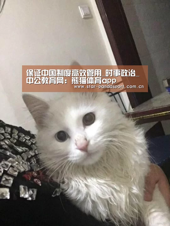保证中国制度高效管用_时事政治_中公教育网:熊猫体育app(图1) 熊猫体育官网