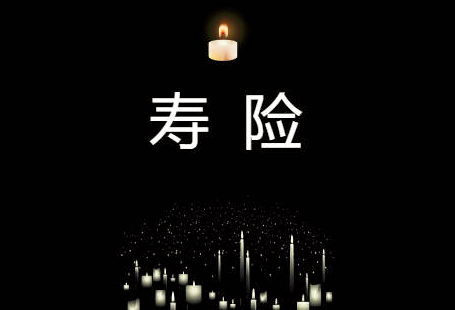 熊猫
