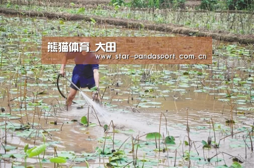 熊猫体育_大田(图2) 熊猫体育官网