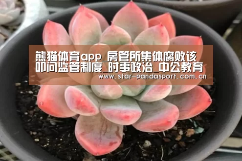 熊猫体育app