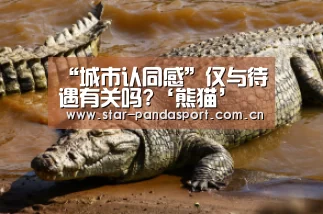 熊猫体育官网