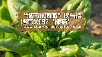 熊猫体育app